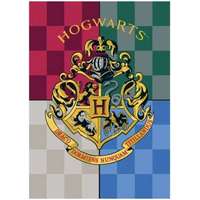 Warner Bros Harry Potter polár takaró, pléd 100x140 cm Nr2