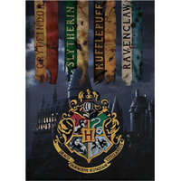 Warner Bros Harry Potter Houses polár takaró, pléd 100x140 cm Nr3