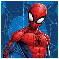 Marvel Pókember Web kéztörlő, arctörlő, törölköző 30x30 cm Nr1