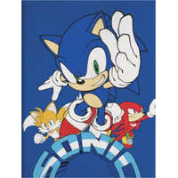 Sega Sonic a sündisznó polár takaró, pléd 100x140 cm Nr3