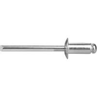 Extol popszegecs klt. alu, 1000 db, méret: 2,4×6,0 mm