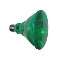 ADELEQ ADELEQ LED Par38 E27 10W zöld, IP65 kültéri kivitel