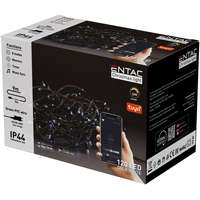 Entac Entac Karácsonyi IP44 120 LED Füzér CW Tuya APP, hideg fehér, telefonról vezérelhető, 9 méter