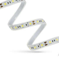 SpectrumLED SMD 5050 60L/M 14,4W 120° IP44 DC 12V 6000K