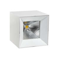 SpectrumLED CEL ZOSMA 2 SQUARE 930 19W 230V 40st White Vivid Natural