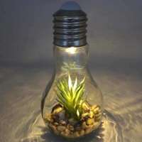LEDvonal LED dekoráció , beltéri , 3 db nano LED , meleg fehér , LED izzó forma virág...