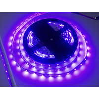 LEDISSIMO LED szalag , 5050 , 60 led/m , 14,4W/m , UV