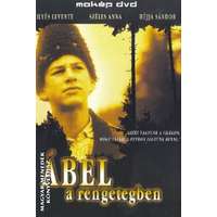  Ábel a rengetegben - DVD - Mihályfi Sándor