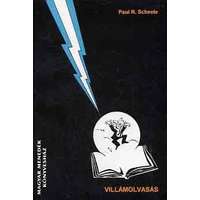 Agykontroll Villámolvasás - Paul R. Scheele