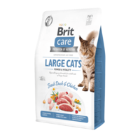 Brit Brit Care Cat Grain-Free Large cats Power & Vitality 2 kg