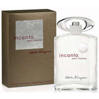 Salvatore Ferragamo Salvatore Ferragamo Incanto pour homme, edt 30ml