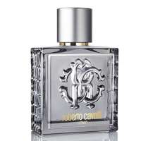 Roberto Cavalli Roberto Cavalli Uomo Silver Essence, edt 100ml - Teszter