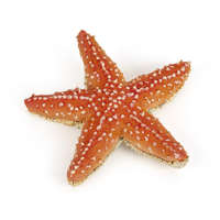 Papo Papo figura Csillaghal