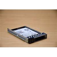 DELL 480GB SSD SATA RI 2.5IN HOT PLUG 14GR (400-BDPQ)