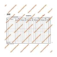 EGYEB BELFOLDI C.60-5 A4 5napos fekvő "Jelenléti ív szabadlap" nyomtatvány (EGYEB_BELFOLDI_C.60-5)