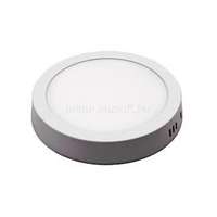 IRIS Lighting PLSUR-12W 12W/820lm/4000K mennyezeti kör alakú LED panel (IRIS_ILPLSUR12W4000K)