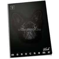 PIGNA Monocromo Black A5 42lapos vonalas füzet (P1111-0523)