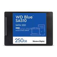 WESTERN DIGITAL SSD 250GB 2.5" SATA WD Blue (WDS250G3B0A)