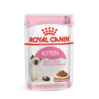  Royal Canin Kitten szószos alutasak macskának 85g