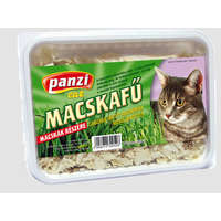  Panzi dobozos macskafű