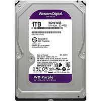 WESTERN DIGITAL Western Digital 1000GB S-ATA III PURPLE WD11PURZ Winchester 125217