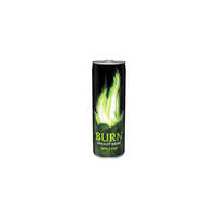 Burn Burn almás-kiwis 0,25l energiaital