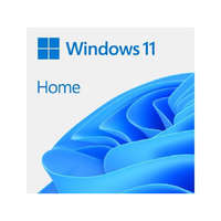 Microsoft Microsoft Windows 11 Pro 64bit ENG DVD