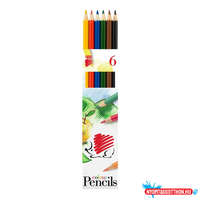  Színes ceruza készlet, hatszögletű Süni Ico 6 klf. szín