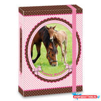 Ars Una Ars Una My Horse lovas A/5 füzetbox