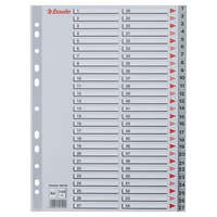 ESSELTE Regiszter, műanyag, A4, 1-54, ESSELTE, szürke (E100109)