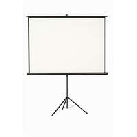 VICTORIA VISUAL Vetítővászon, hordozható, 11, 180x180 cm, VICTORIA VISUAL (VVAH180)