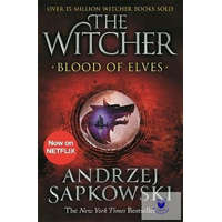  The Witcher: Blood of Elves (Book 3)