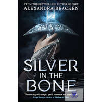  Silver In The Bone (Silver In The Bone Series, Book 1)