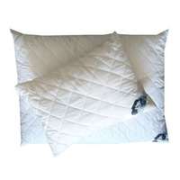 Billerbeck Feelings by Billerbeck Atka Protect Párna garnitúra (nagypárna és kispárna), 70x90 + 36x48 cm