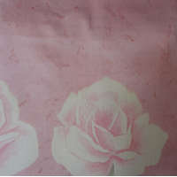  Billerbeck Bianka pamut kispárnahuzat, 36x48 cm, Rózsaszín virágos (63)