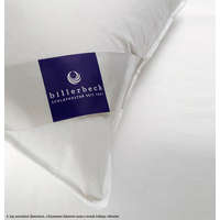 Billerbeck Billerbeck ANDRIA pamuttöltetű félpárna, 50x70 cm