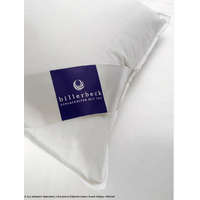 Billerbeck Billerbeck EVOLÉNE Hajdinahéj félpárna, 50x70 cm