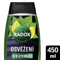 Radox Radox Refreshment Menthol And Citrus 3-in-1 Shower Gel tusfürdő 450 ml férfiaknak
