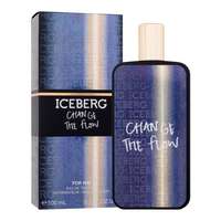 Iceberg Iceberg Change The Flow eau de toilette 100 ml férfiaknak