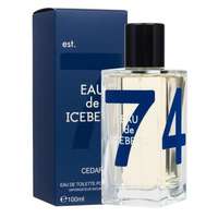 Iceberg Iceberg Eau de Iceberg Cedar eau de toilette 100 ml férfiaknak