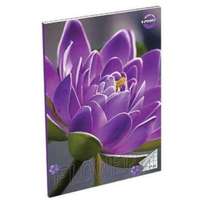 Tip-Top T-creativ: négyzetrácsos füzet, 27-32, a5 - lila virág mintás