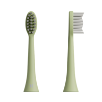 Tesla Smart Haz tesla smart toothbrush ts200 brush heads green 2x tsl-pc-ts200gacc