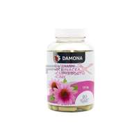 - Damona c-vitamin 1000mg +echinacea +csipkebogyó+cink bevont tabletta 80db