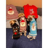 Kutyaruha - S-5XL Tèli meleg pulcsik - XL - kék