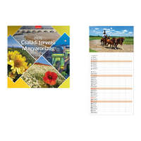 Kalendart Naptár Kft. TopTimer Falinaptár 2026, T098 CSALÁDI TERVEZŐ MAGYARO.