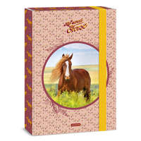Ars Una Studio Kft. Ars Una A4 füzetbox My Sweet Horse (5358) 24