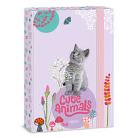 Ars Una Studio Kft. Ars Una A4 füzetbox Cute Animals-kitten (5368) 24