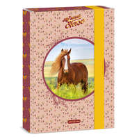 Ars Una Studio Kft. Ars Una A5 füzetbox My Sweet Horse (5358) 24