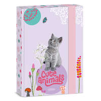 Ars Una Studio Kft. Ars Una A5 füzetbox Cute Animals-kitten (5368) 24