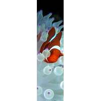 Mapcards 3D könyvjelző (21x5,5 cm) bohóchal